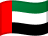 UAE Flag